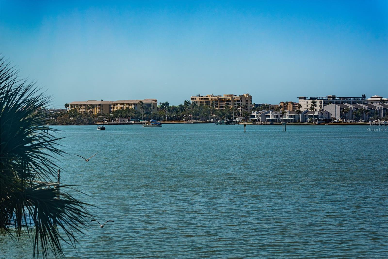 LEXINGTON TOWERS CONDO - Residential