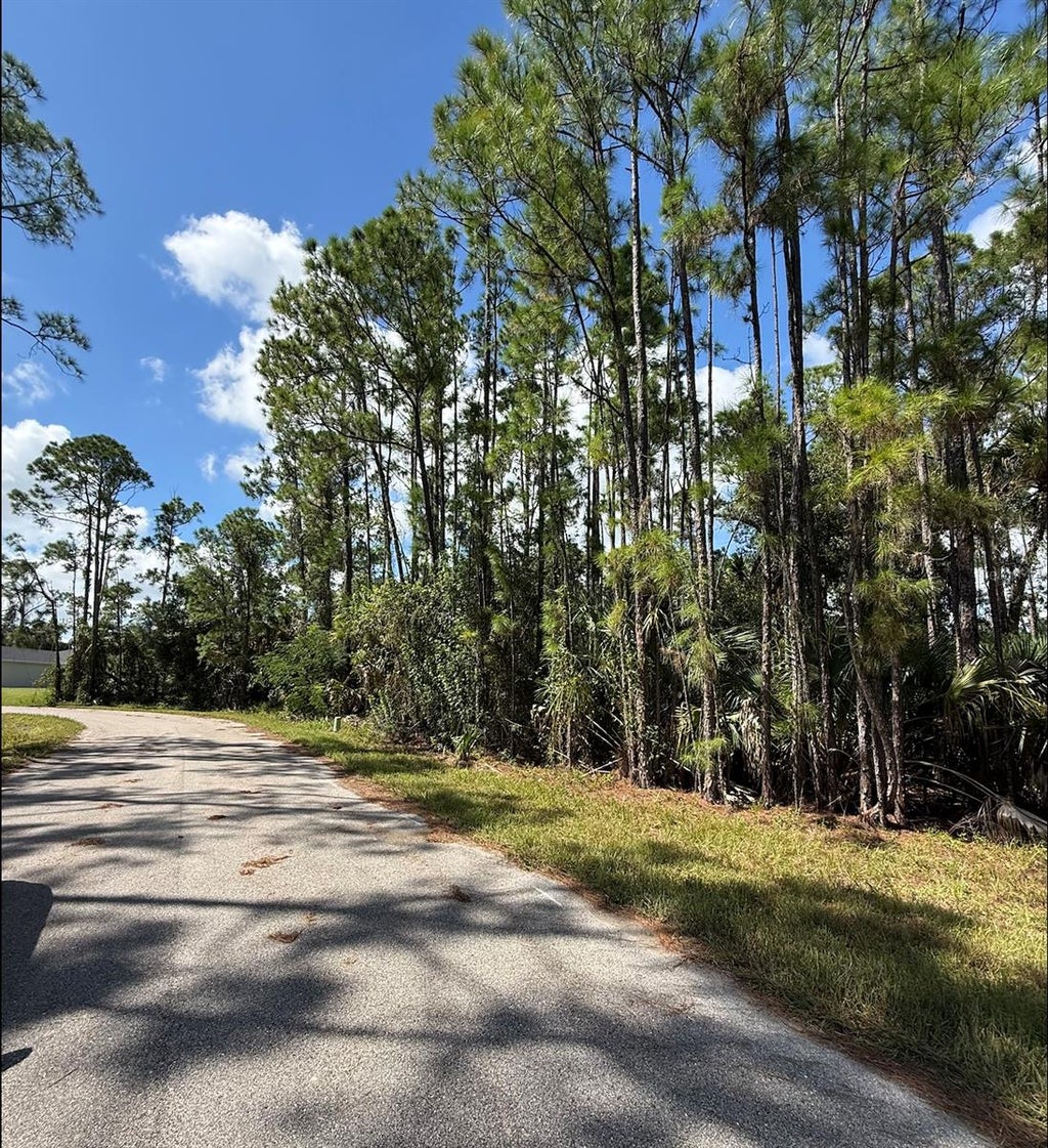 Photo of Carmelia Street, North Port, FL 34288 (MLS # N6146186)