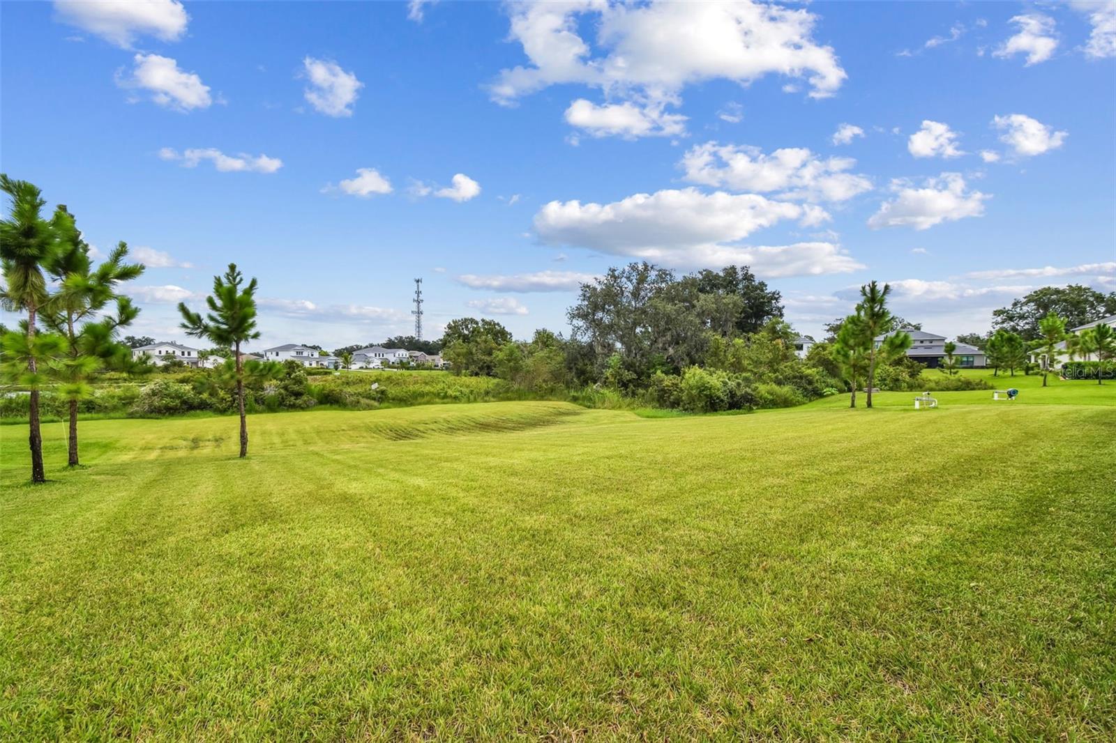LIVINGSTON GROVE - Residential