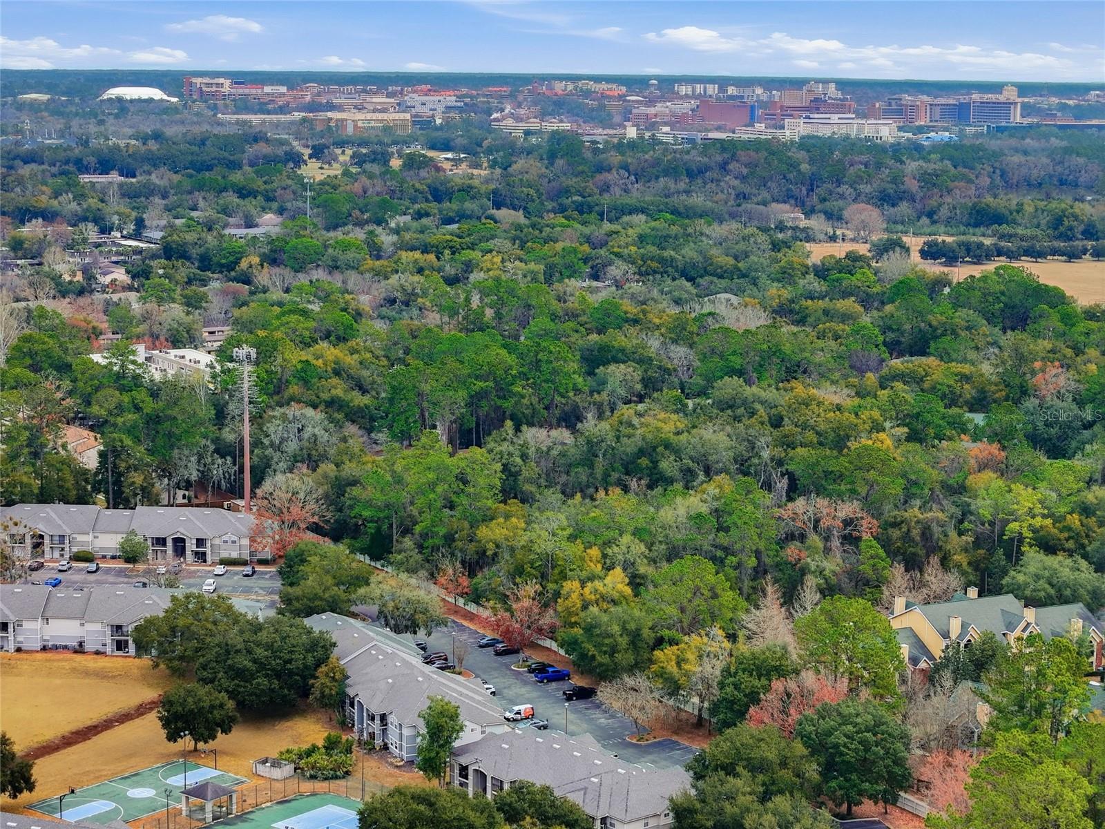 WINDSOR PARK AT GAINESVIL - Residential