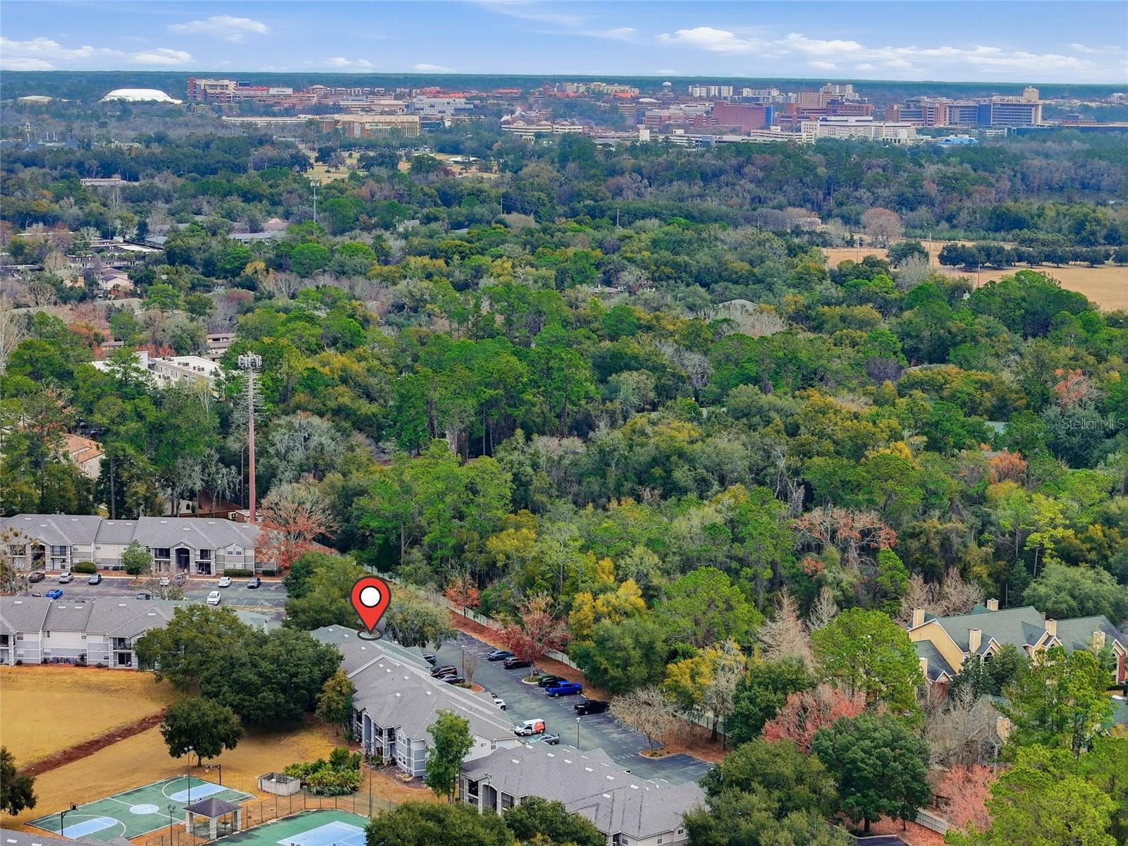 WINDSOR PARK AT GAINESVIL - Residential