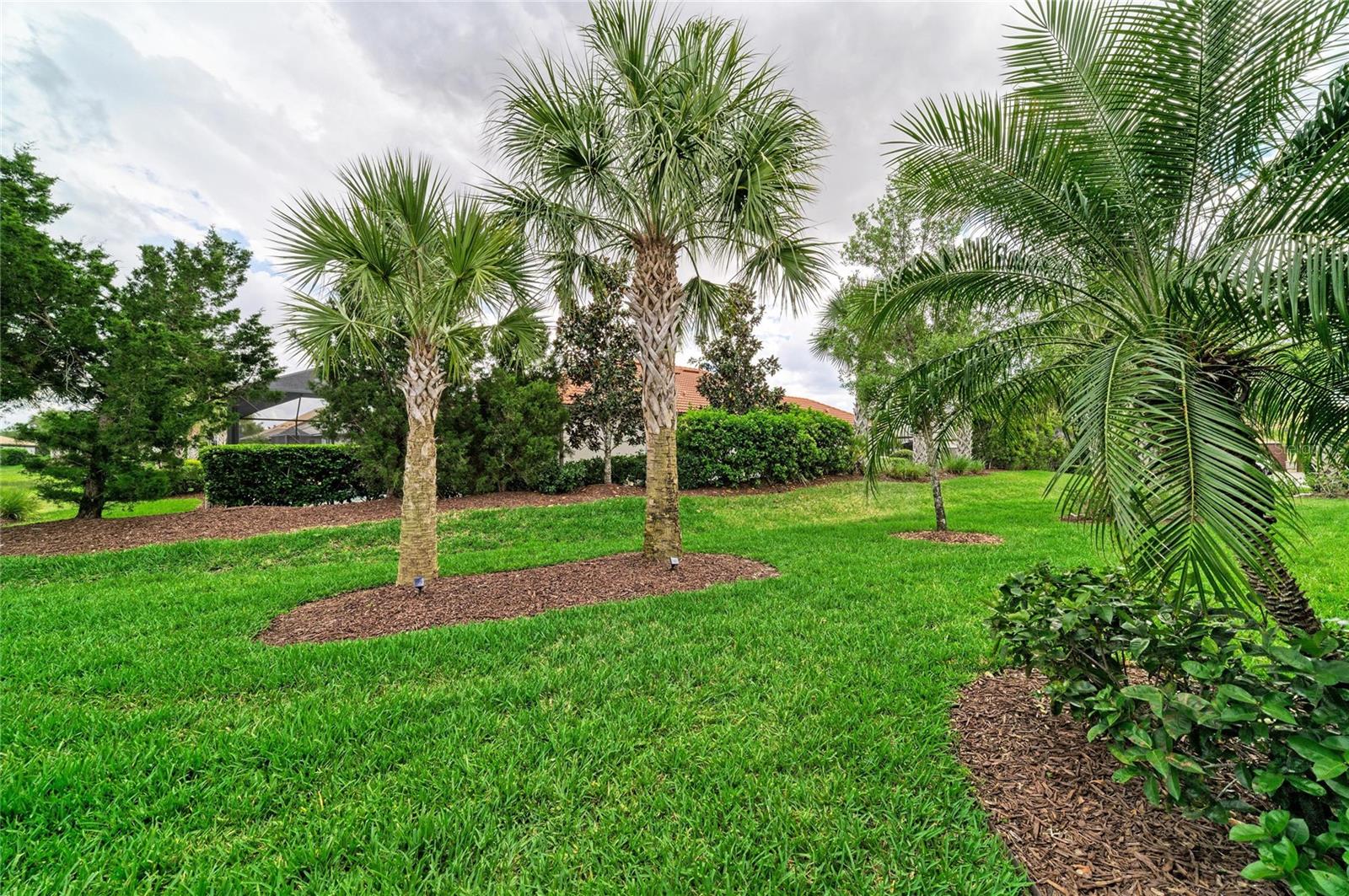 DEL WEBB PH I-B SUBPHASES D & F - Residential