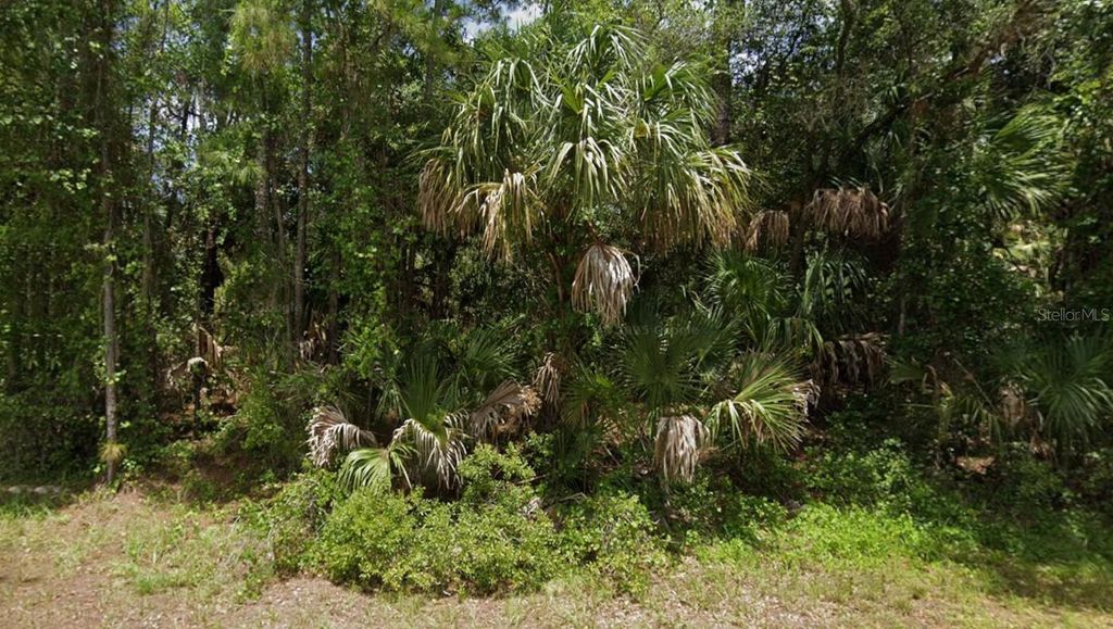 Photo of Apricot Street, North Port, FL 34288 (MLS # C7523499)