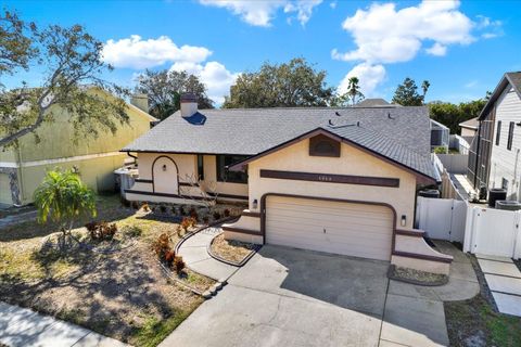 A home in PALM HARBOR