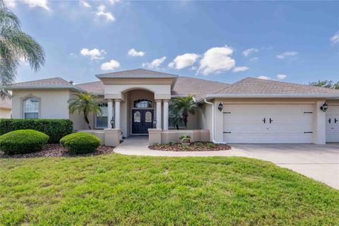 Photo of 7425 Melogold Circle, Land O Lakes, FL 34637 (MLS # TB8503629)
