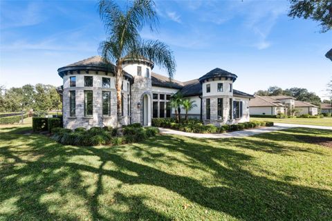 25861 CROSSINGS BLUFF LANE SORRENTO FL 32776