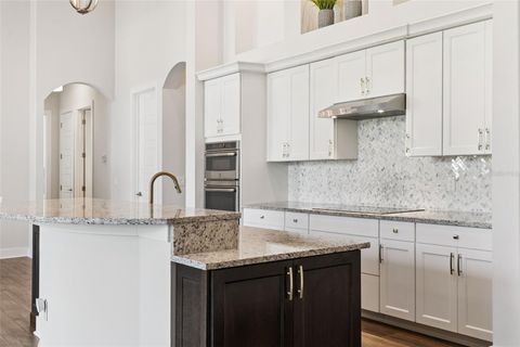 Tiny photo for 25861 Crossings Bluff Lane, Sorrento, FL 32776 (MLS # O6365466)