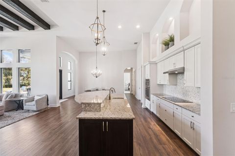 Tiny photo for 25861 Crossings Bluff Lane, Sorrento, FL 32776 (MLS # O6365466)