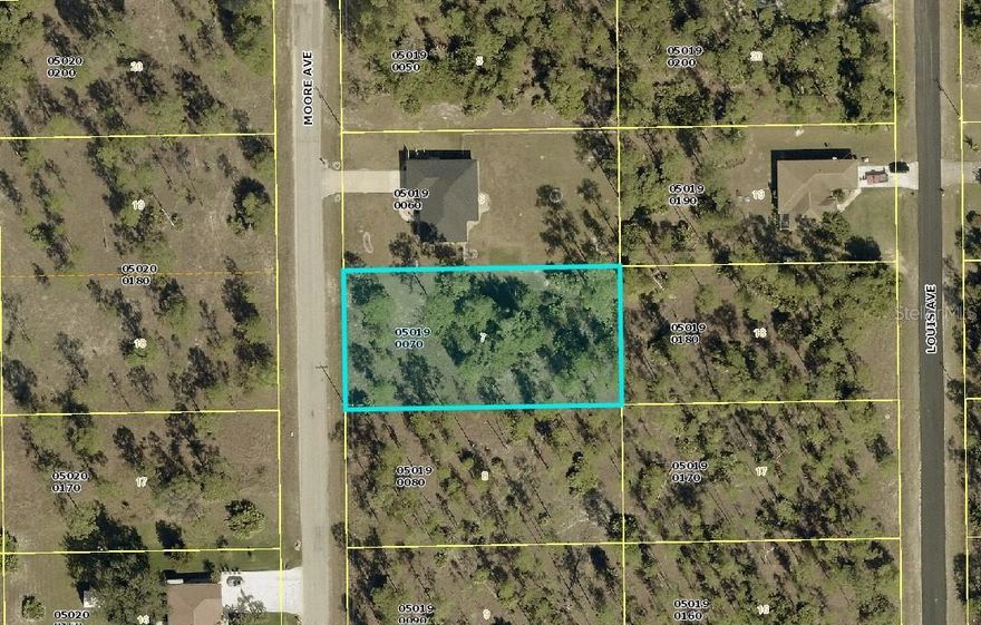 This Half Acre property is perfect to build your next home on.  Plenty of room for all your toys and a pool.
Lehigh Acres is a great location close to shopping, beaches the Fort Myers airport as well as Sanibel Island and an easy drive to down town Fort Myers.
This home is centrally  located less than 2 hours from Miami and Tampa and a few hours drive to Orlando and Jacksonville.
Property is off a paved road and ready to go.