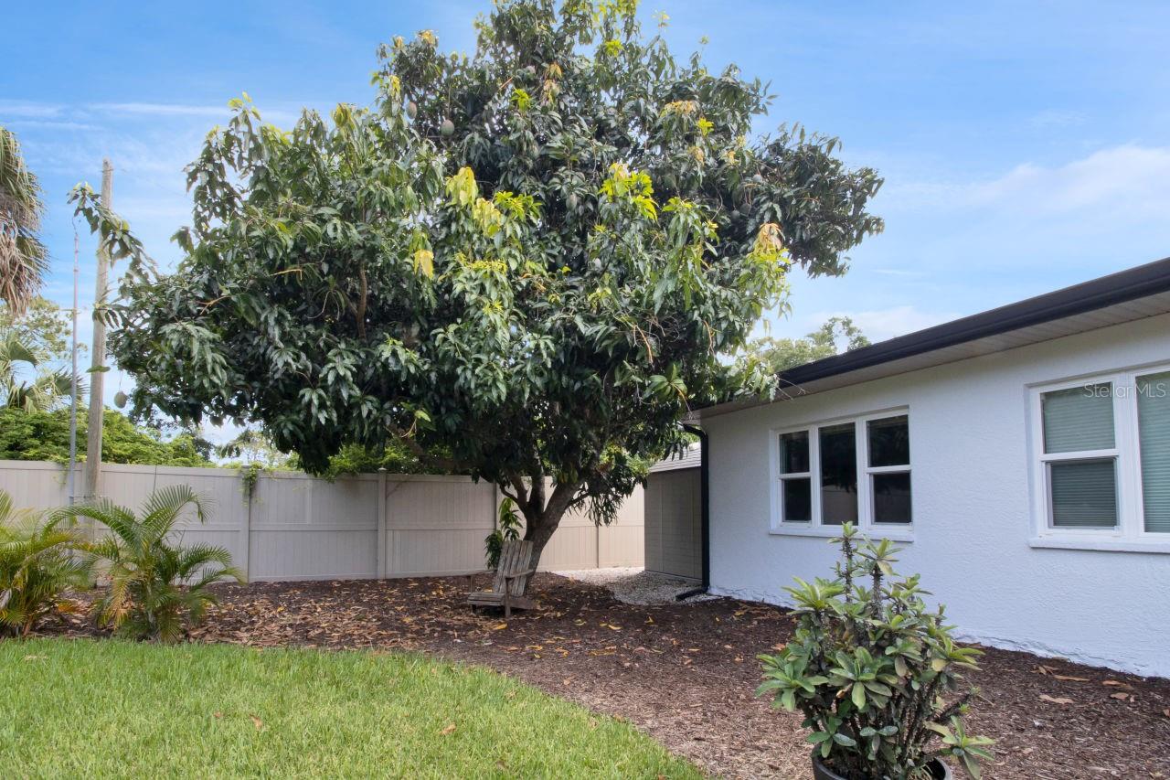 PALMA SOLA PARK - Residential