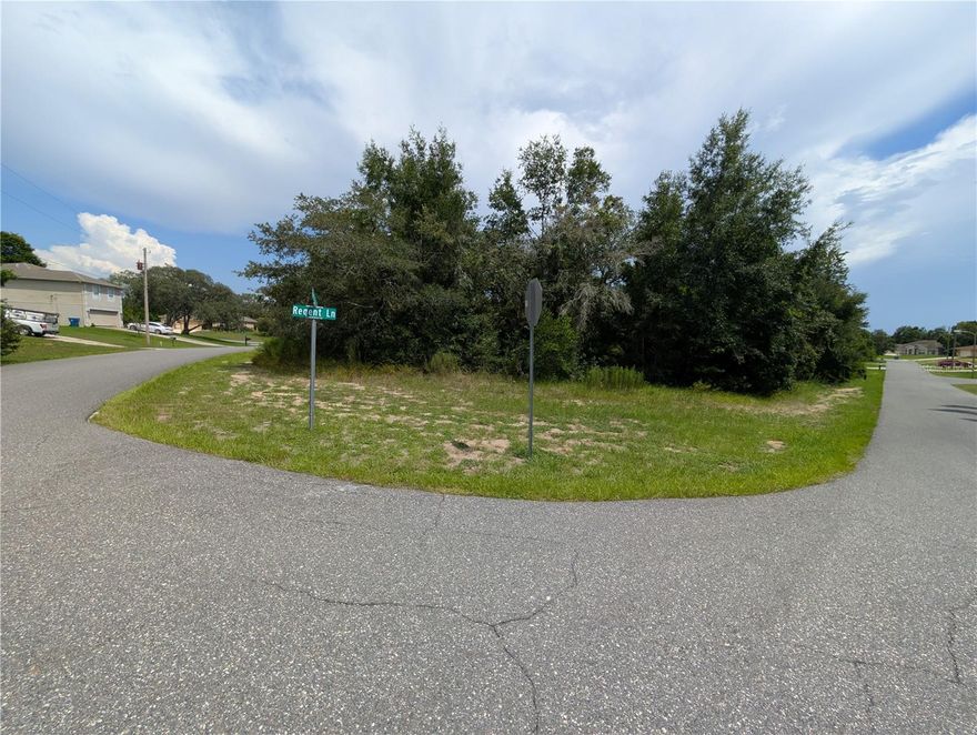 Beautiful Corner Lot in the Heart of Spring Hill! Don’t miss this rare opportunity to own nearly half an acre of prime vacant land in one of Spring Hill’s most sought-after areas! This spacious corner lot offers the perfect setting to build your dream home—plenty of space, privacy, and no rear neighbors. Located just minutes from Weeki Wachee Springs State Park, shopping, dining, and top-rated schools, this lot combines peaceful living with everyday convenience. Whether you're planning a large custom home or looking to invest in a growing area, this property has incredible potential. Utilities nearby, easy access to main roads, and a nice neighborhood make this a must-see! Opportunities like this don’t come often—schedule a visit today before it’s gone!