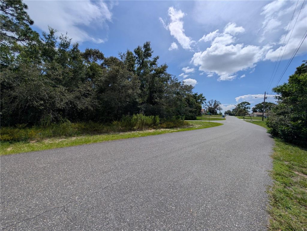 Photo of 11298 Redgate Street, Spring Hill, FL 34609 (MLS # O6334436)
