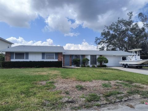 4411 DOLPHIN LANE PALMETTO FL 34221