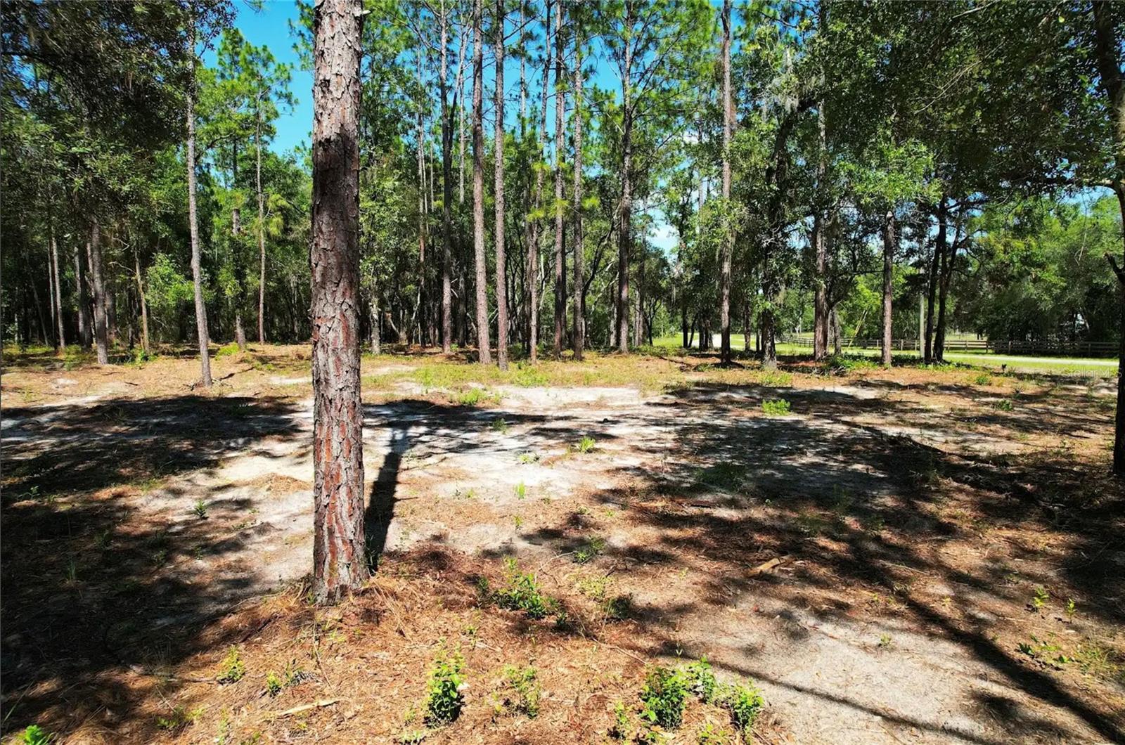 SE COUNTY ROAD 337