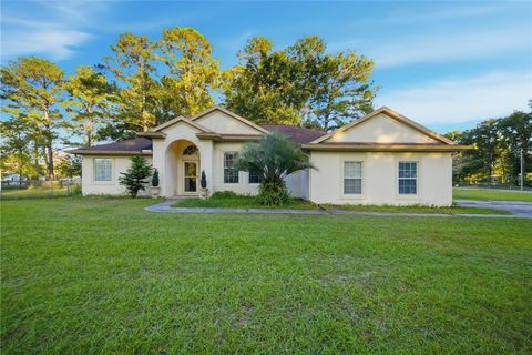 Photo of 1095 NW 109th Avenue, Ocala, FL 34482 (MLS # O6359055)
