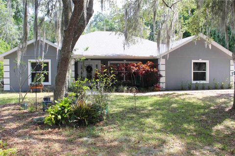 A home in TAVARES