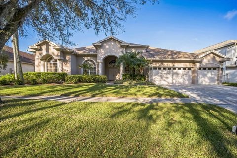 A home in TAMPA