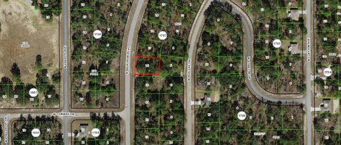 Tiny photo for Dunnellon, FL 34434 (MLS # OM722298)