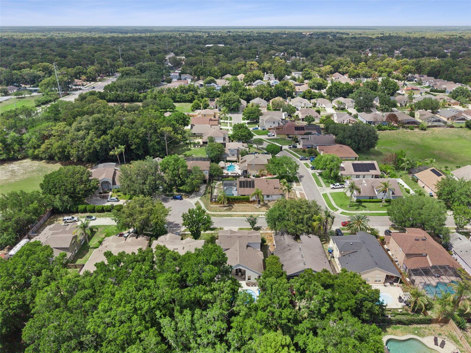 WEKIVA CLUB - Residential