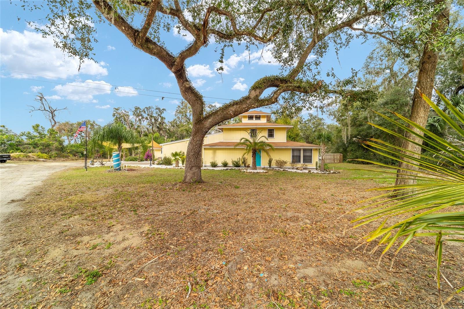BIG TREE - Residential