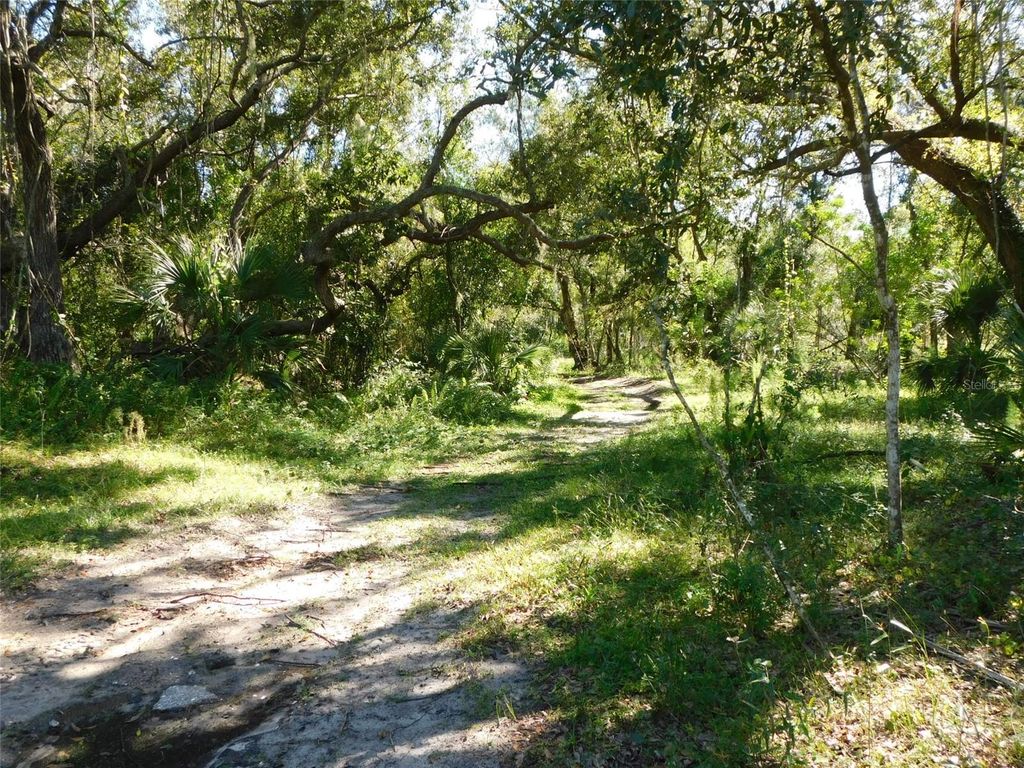 Photo of 2221 NW Pine View Road, Arcadia, FL 34266 (MLS # C7516299)