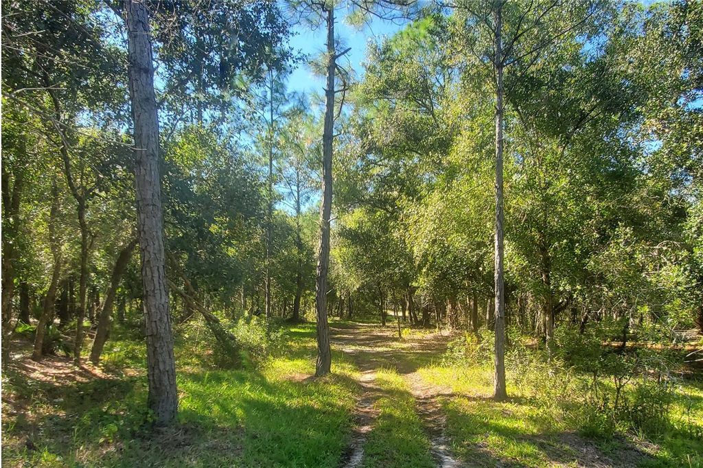 Photo of 2221 NW Pine View Road, Arcadia, FL 34266 (MLS # C7516299)