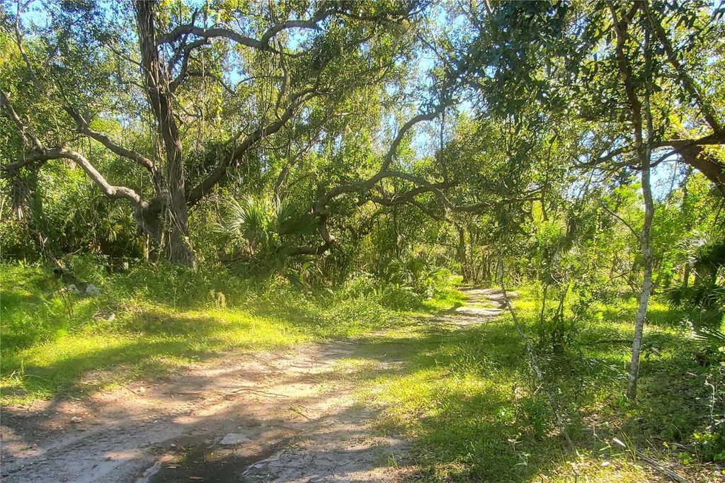 Photo of 2221 NW Pine View Road, Arcadia, FL 34266 (MLS # C7516299)