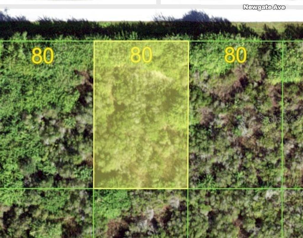 Photo of 12105 Newgate Avenue, Port Charlotte, FL 33981 (MLS # D6142588)