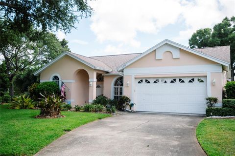 Photo of 8390 Meadow Brook Drive E, Seminole, FL 33777 (MLS # TB8519287)