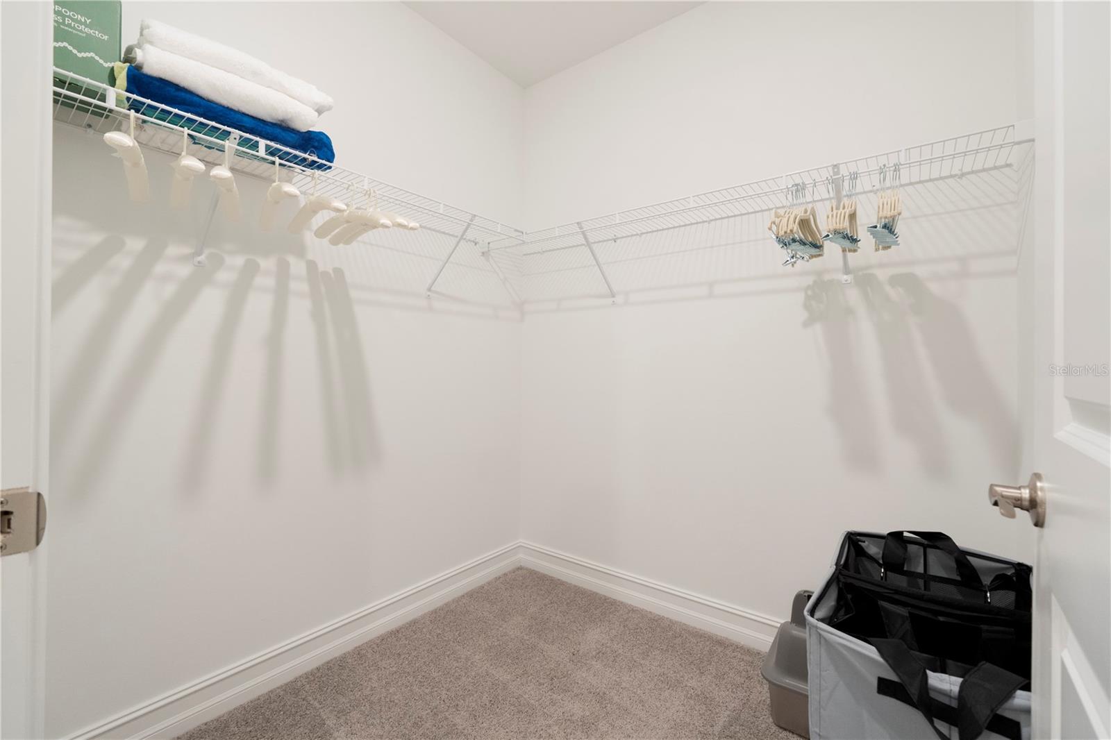 BABCOCK RANCH COMMUNITY PALMET - Residential