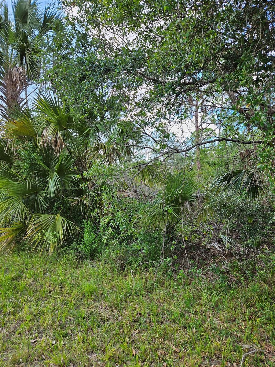 Build Your Dream Home in North Port! Lot's 15 and 16 for $30,000.00 each, Lot 15 MLS C7503500 and can be sold seperately.
This is your chance to secure a spacious property in one of Florida's fastest-growing areas. With two adjoining lots, this parcel offers nearly half an acre of land—perfect for designing and building the home you've always envisioned. Enjoy the benefits of privacy and space while being conveniently located near all that North Port's amenities, including shopping, dining, parks, and excellent schools. Rarely does an opportunity like this come along to own such a generously sized parcel in this sought-after area. Whether you're looking for space to expand or a serene retreat to call your own, this property has it all. Don’t miss out!"