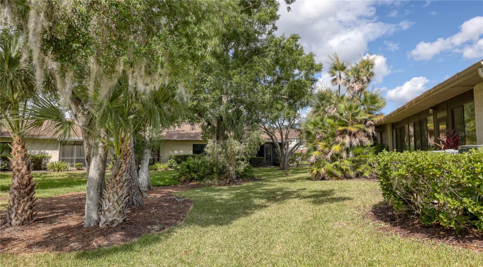 EAST LAKE WOODLANDS CLUSTER HOMES - Residential