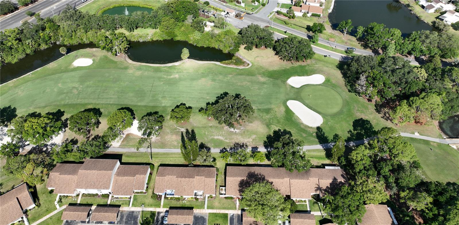 EAST LAKE WOODLANDS CLUSTER HOMES - Residential