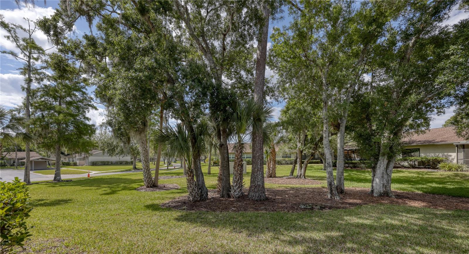 EAST LAKE WOODLANDS CLUSTER HOMES - Residential