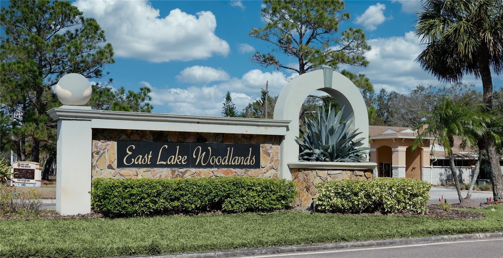 EAST LAKE WOODLANDS CLUSTER HOMES - Residential