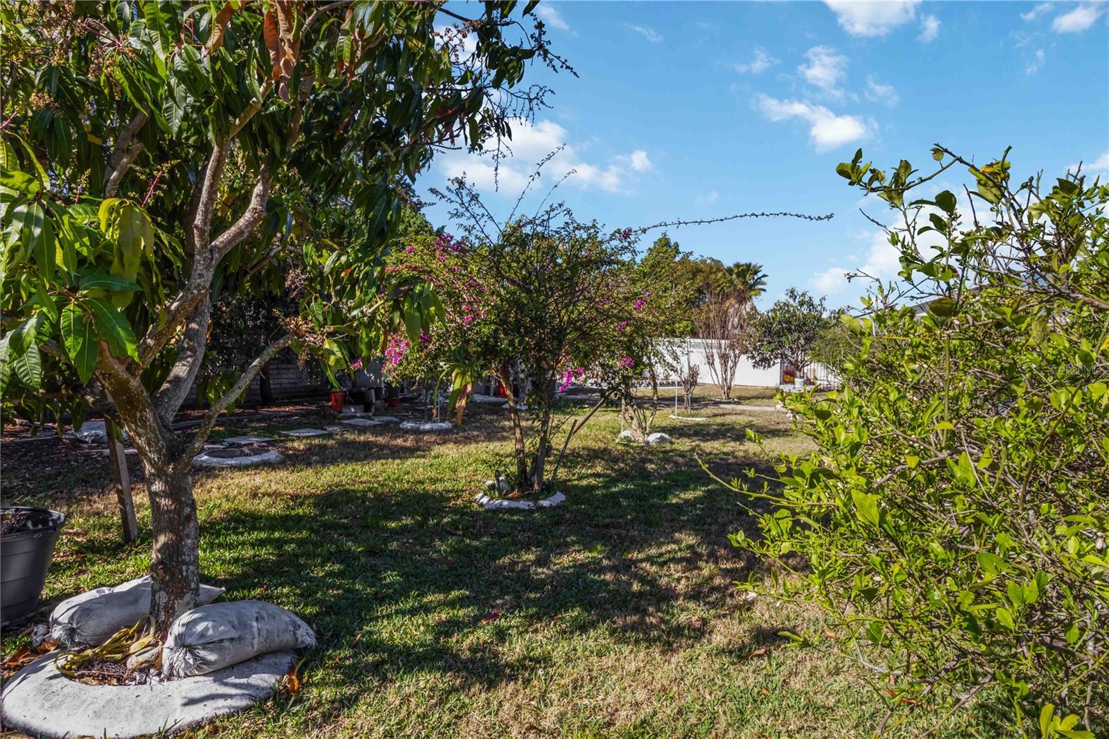 DEL WEBBS SUN CITY FLORIDA UN - Residential