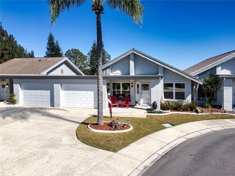 A home in SUN CITY CENTER