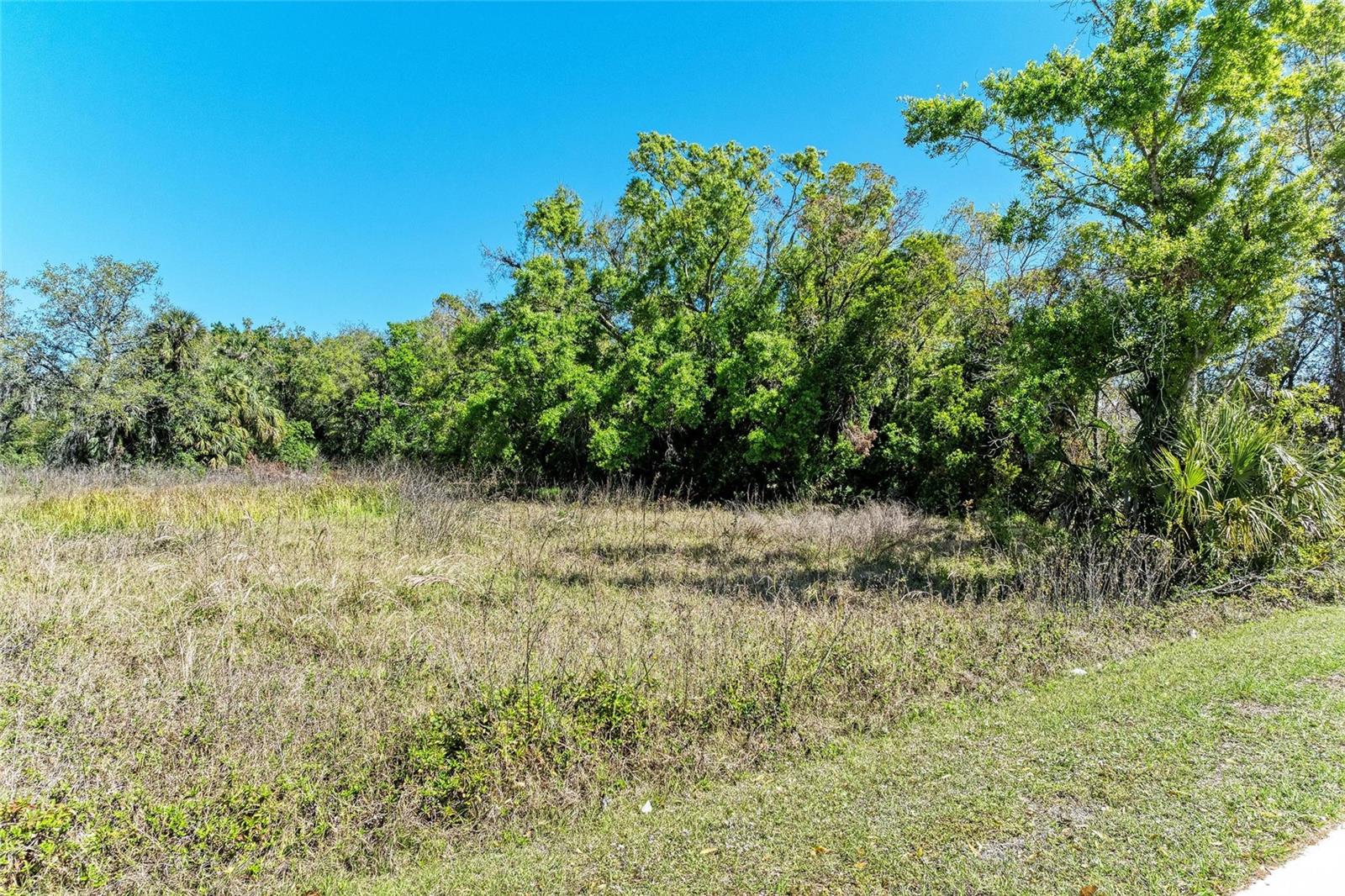 ELWOOD PARK CTD - Land