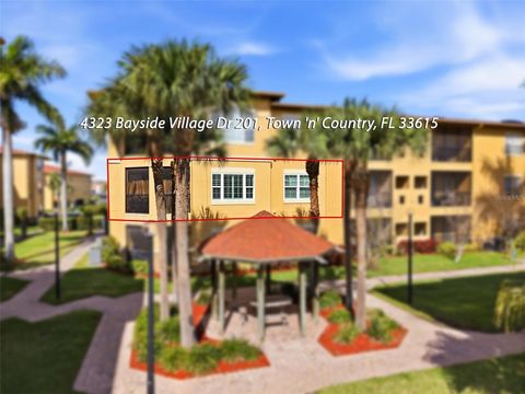 4323 BAYSIDE VILLAGE DRIVE 201 TAMPA FL 33615