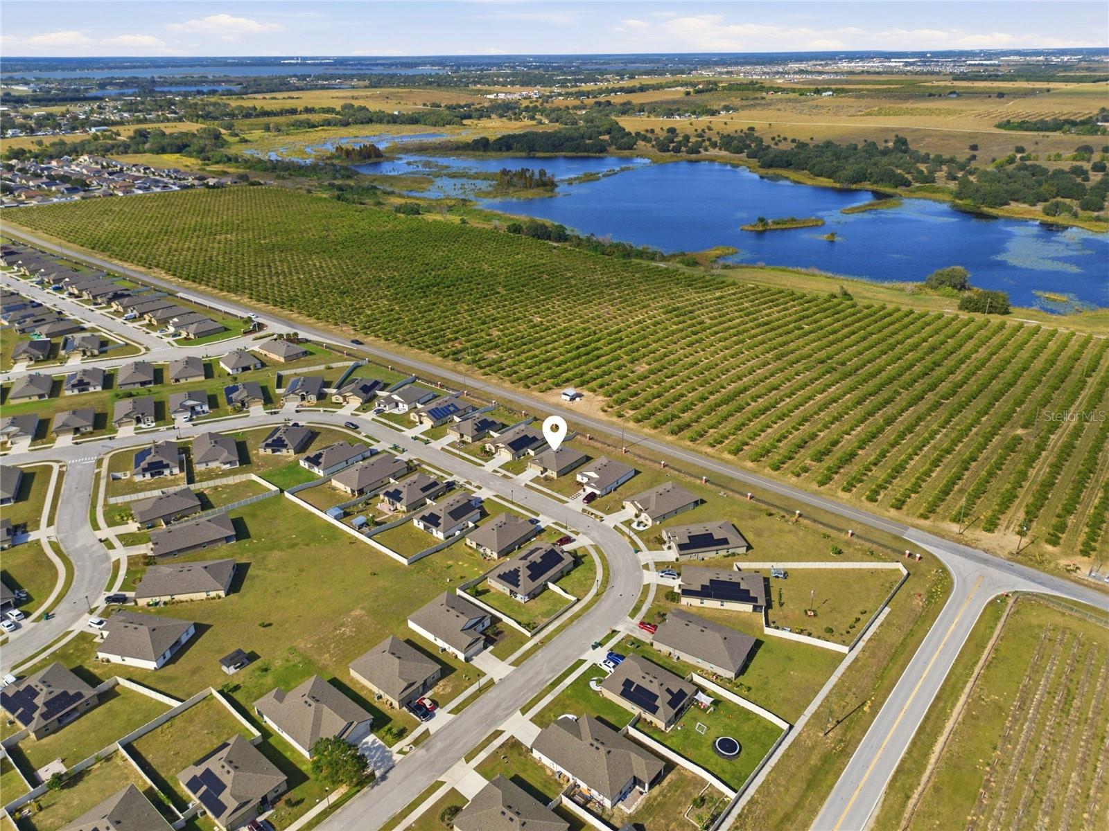 2001 AMBER SWEET CIRCLE