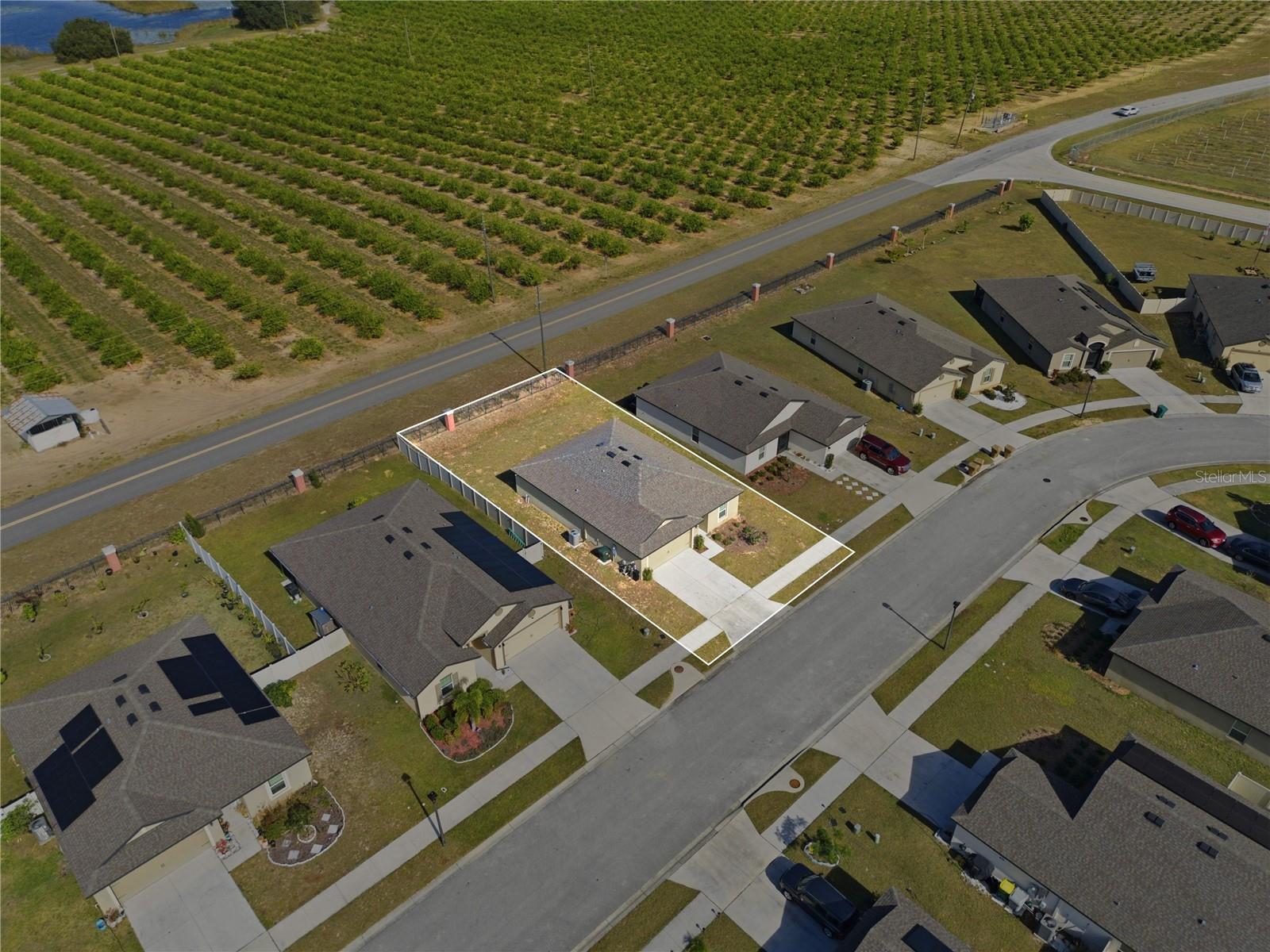 2001 AMBER SWEET CIRCLE