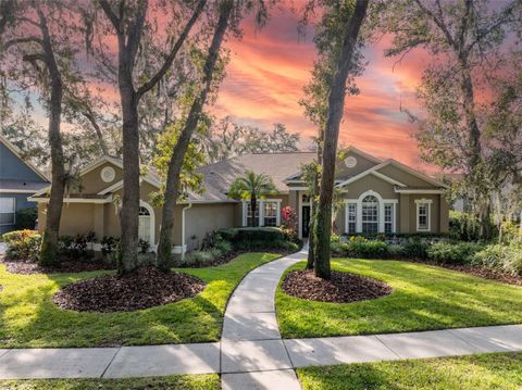 15015 EAGLERISE DRIVE LITHIA FL 33547