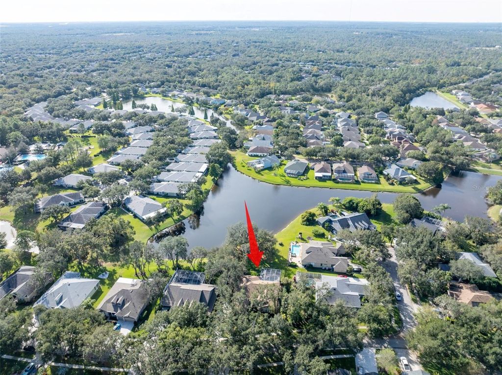 Photo of 15015 Eaglerise Drive, Lithia, FL 33547 (MLS # TB8444250)