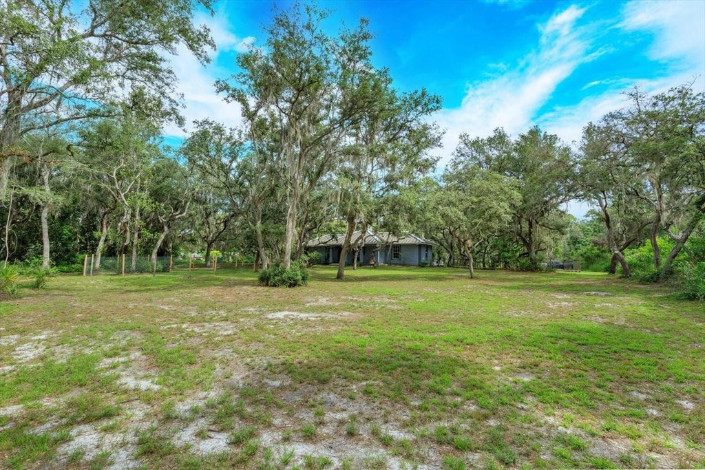 Photo of 17249 Holly Court, Umatilla, FL 32784 (MLS # O6415006)