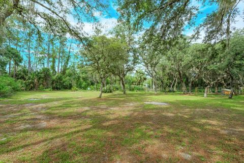 Tiny photo for 17249 Holly Court, Umatilla, FL 32784 (MLS # O6415006)