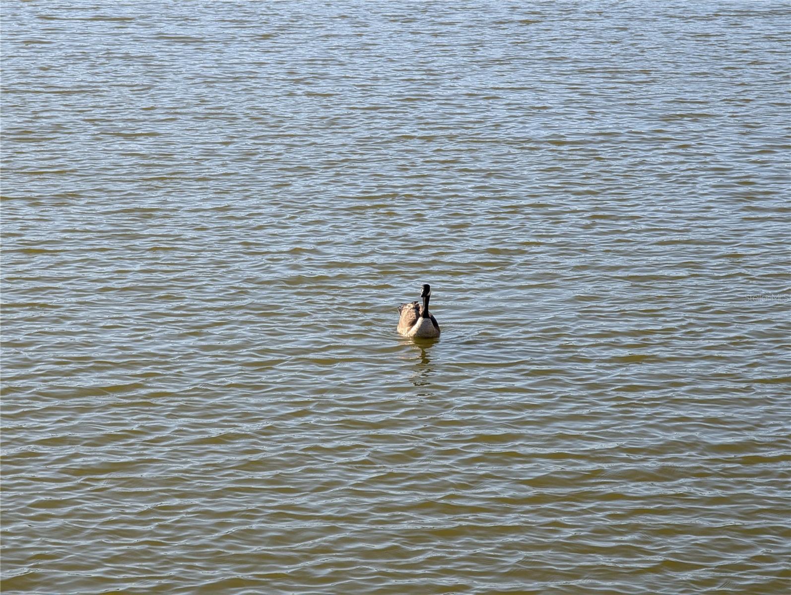 BAYSHORE ON THE LAKE APTS II SEC 2 - Residential