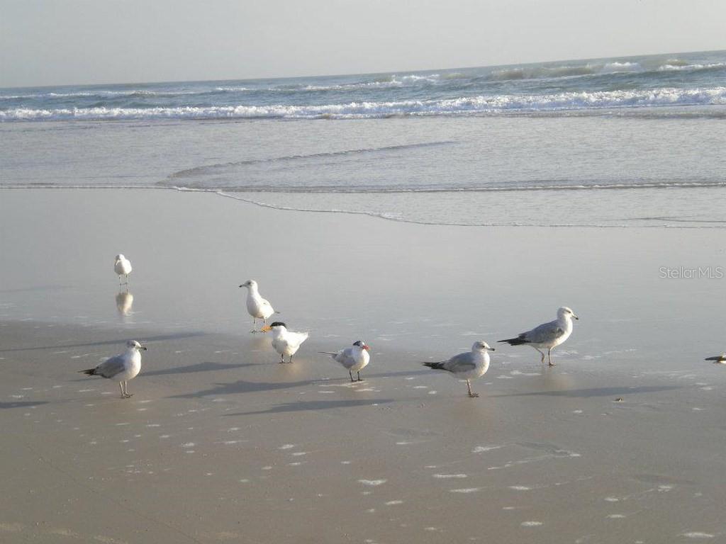 Fairgreen Unit 05 - Residential