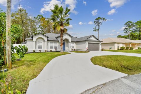 A home in PALM COAST