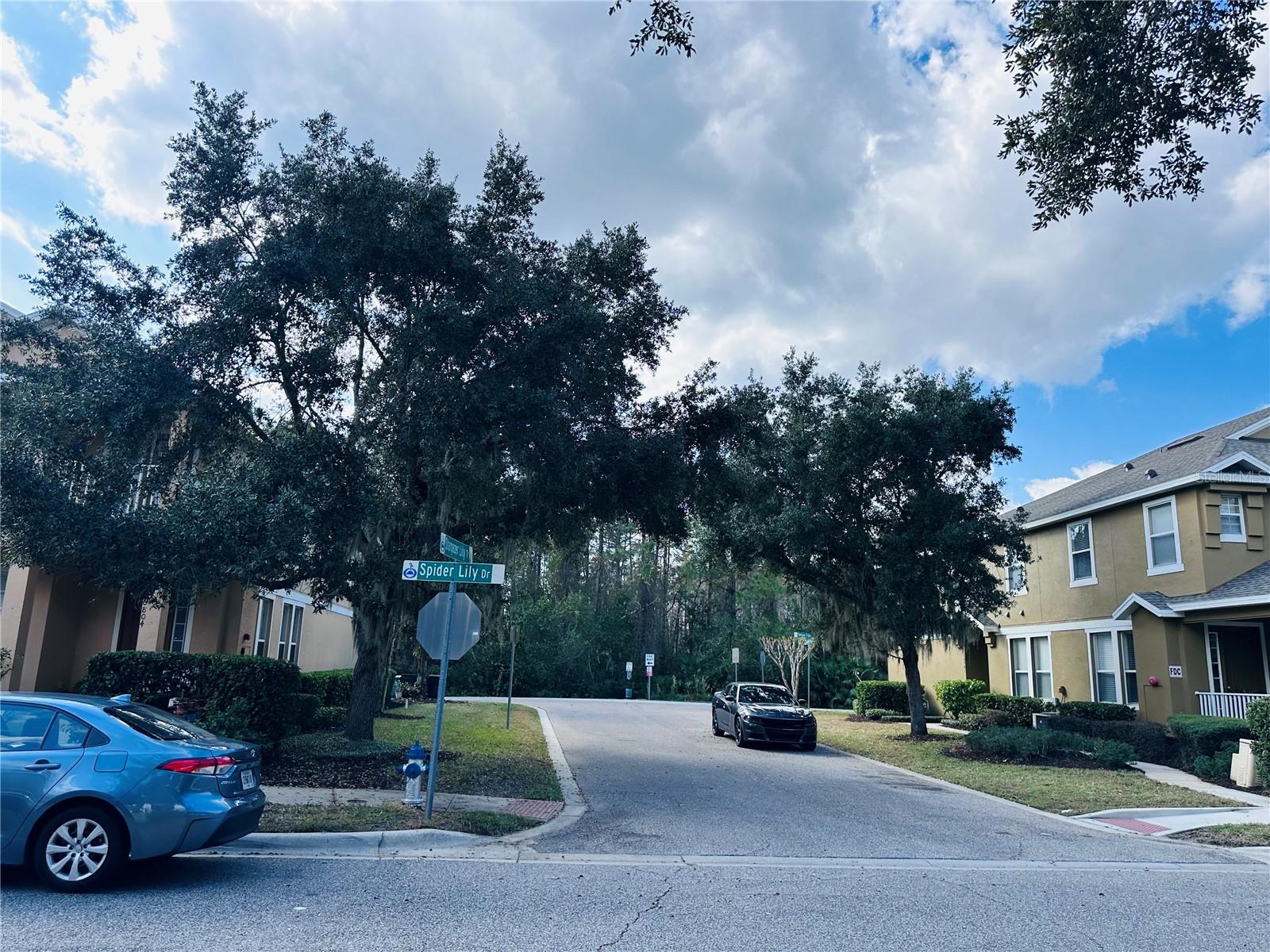 VILLAS/EAST PARK - Residential