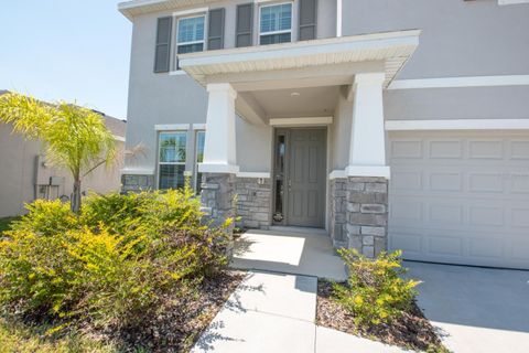 A home in APOLLO BEACH